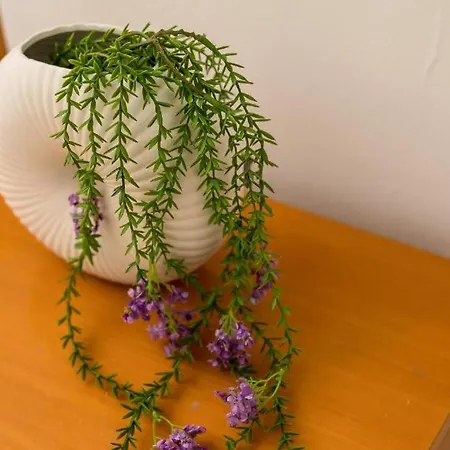 Lar Lägenhetshotell